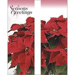 Potted Poinsettias Double Banner