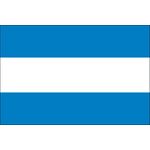 2ft. x 3ft. Argentina Flag No Seal for Indoor Display