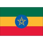 2ft. x 3ft. Ethiopia Flag for Indoor Display