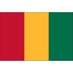 3ft. x 5ft. Guinea Flag for Parades & Display