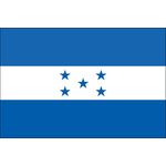 4ft. x 6ft. Honduras Flag for Parades & Display