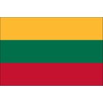 2ft. x 3ft. Lithuania Flag for Indoor Display