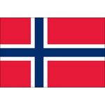 3ft. x 5ft. Norway Flag for Parades & Display