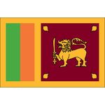 3ft. x 5ft. Sri Lanka Flag for Parades & Display