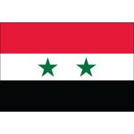 3ft. x 5ft. Syria Flag for Parades & Display