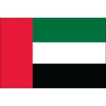 2ft. x 3ft. United Arab Emirates Flag for Indoor Display