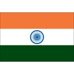 3 ft. x 5 ft. India Flag E-poly with Brass Grommets