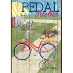 Rustic Pedal Pusher House Flag
