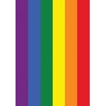 Rainbow Pride House Flag