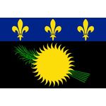 2ft. x 3ft. Guadeloupe Flag with a Black Field & Canvas Header