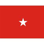 4ft. x 6ft. Army 1 Star General Flag w/Grommets