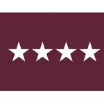 3ft. x 5ft. Army Medical 4 Star General Flag for Indoor Displaying