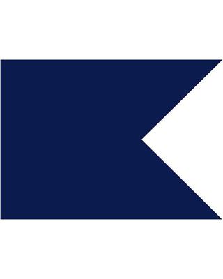 20 in. x 27-3/4 in. Navy Guidon Base