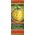 30 x 96 in. Holiday Banner Striped Paper Ornament