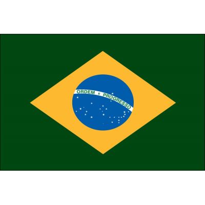 4ft. x 6ft. Brazil Flag for Parades & Display