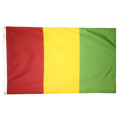 2ft. x 3ft. Guinea Flag with Canvas Header