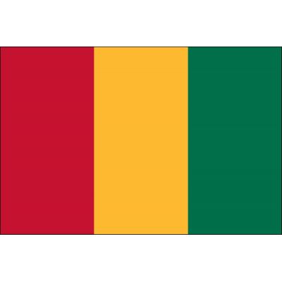 3ft. x 5ft. Guinea Flag for Parades & Display