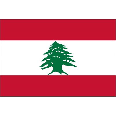 2ft. x 3ft. Lebanon Flag for Indoor Display