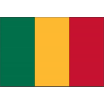 4ft. x 6ft. Mali Flag for Parades & Display