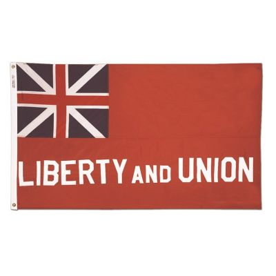 3ft. x 5ft. Taunton Flag with Gold Fringe for Parades & Display