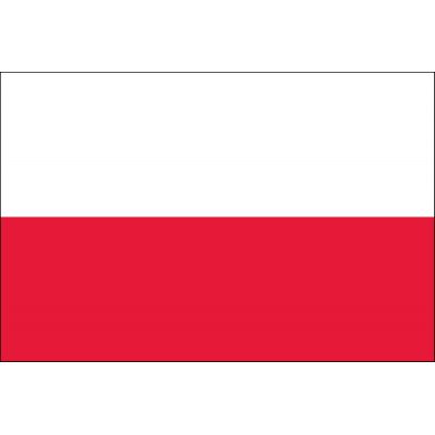 4ft. x 6ft. Poland Flag for Parades & Display