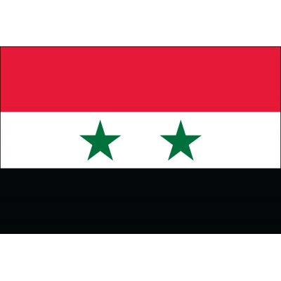 2ft. x 3ft. Syria Flag for Indoor Display