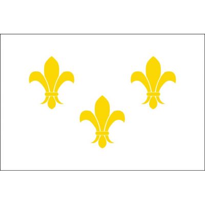 3 ft. x 5 ft. 3 Gold Fleur De Lis Flag w/ White Background
