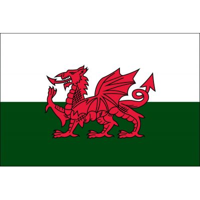 2ft. x 3ft. Wales Flag for Indoor Display