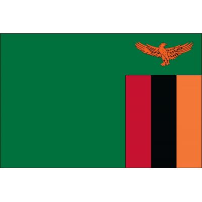 4ft. x 6ft. Zambia Flag for Parades & Display