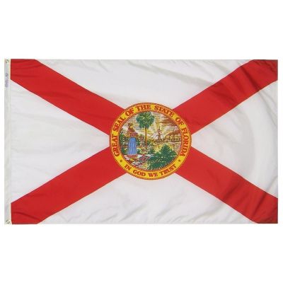 12 x 18 in. Florida flag