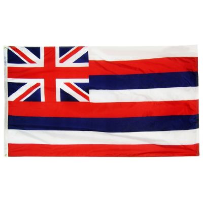 12 x 18 in. Hawaii flag