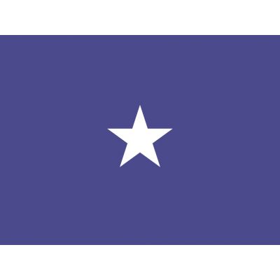 3ft. x 4ft. Air Force 1 Star General Flag w/ Side Pole Sleeve