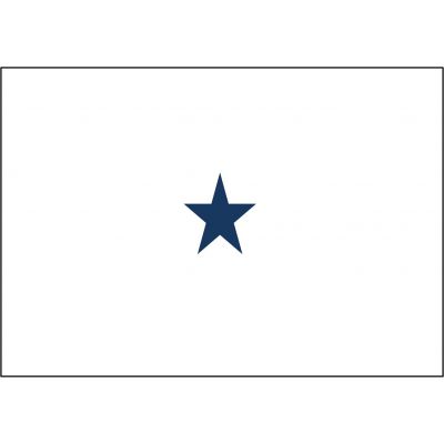3ft. x 4ft. Navy 1 Star Non-Seagoing Admiral Flag w/ Lined Pole Sleeve