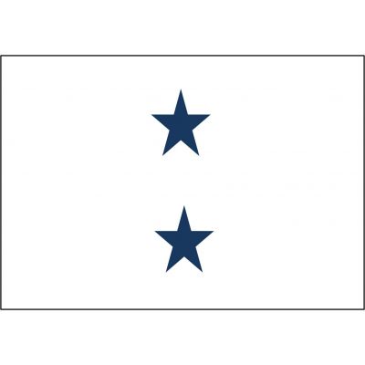 2ft. x 3ft. Navy 2 Star Admiral Flag Non-Seagoing w/Grommets