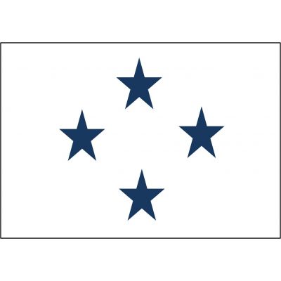 3ft. x 4ft. Navy 4 Star Non-Seagoing Admiral Flag w/ Lined Pole Sleeve