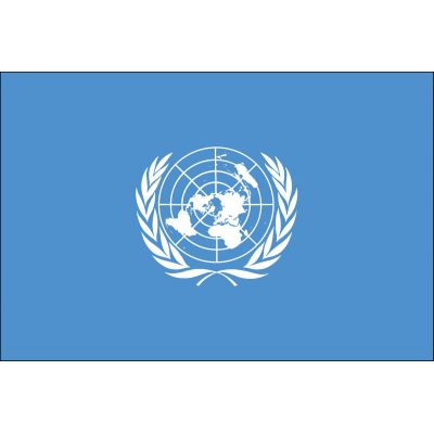 3ft. x 5ft. United Nations Flag with Side Pole Sleeve & White Fringe