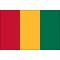 2ft. x 3ft. Guinea Flag for Indoor Display
