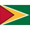 3ft. x 5ft. Guyana Flag for Parades & Display
